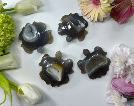 Druzy Agate Turtle