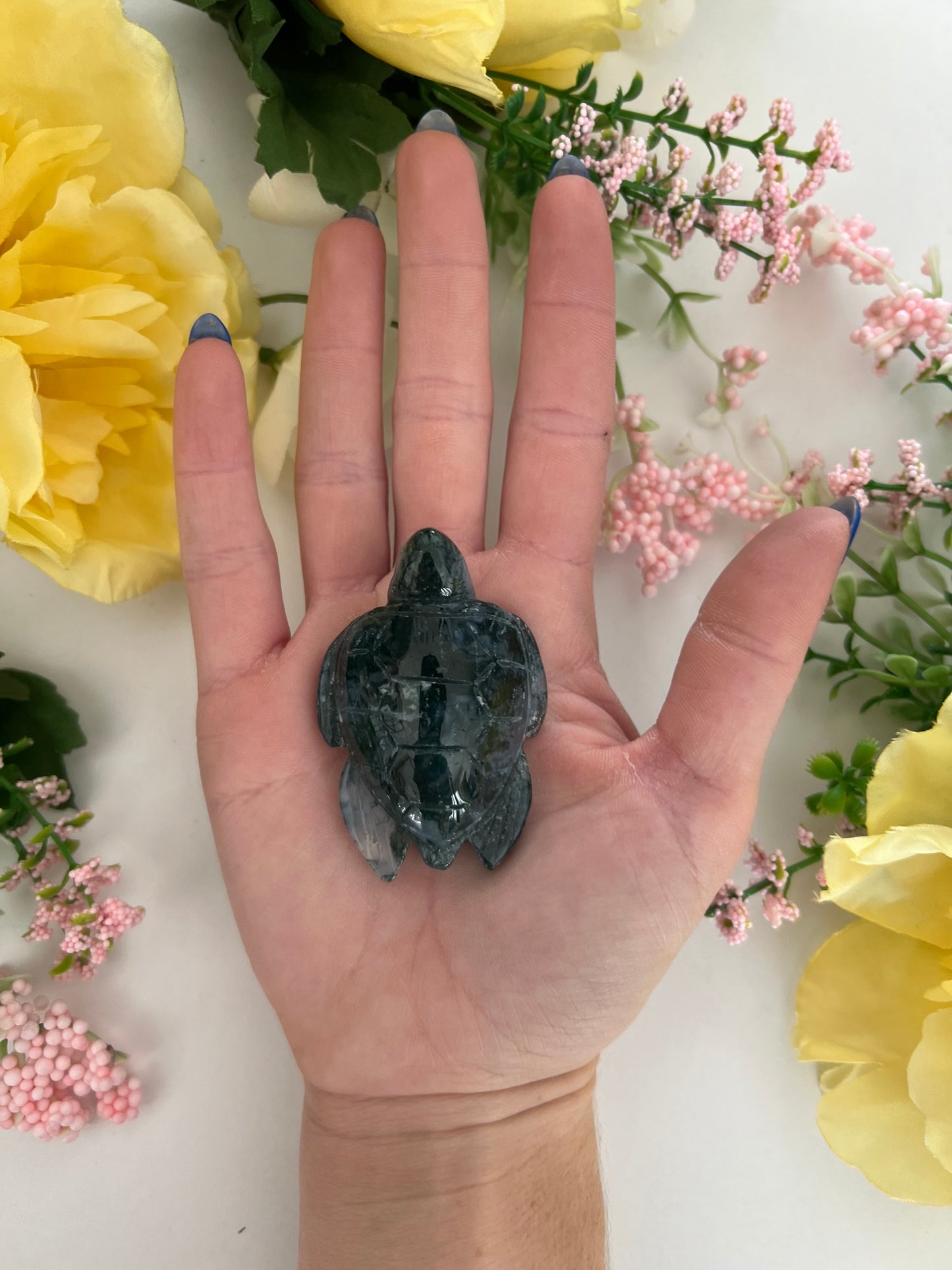 Large Crystal Turtle