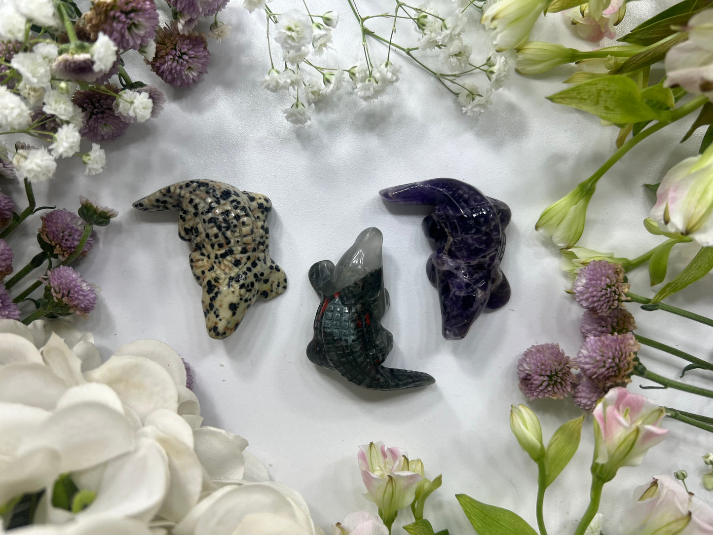 Crystal Alligator