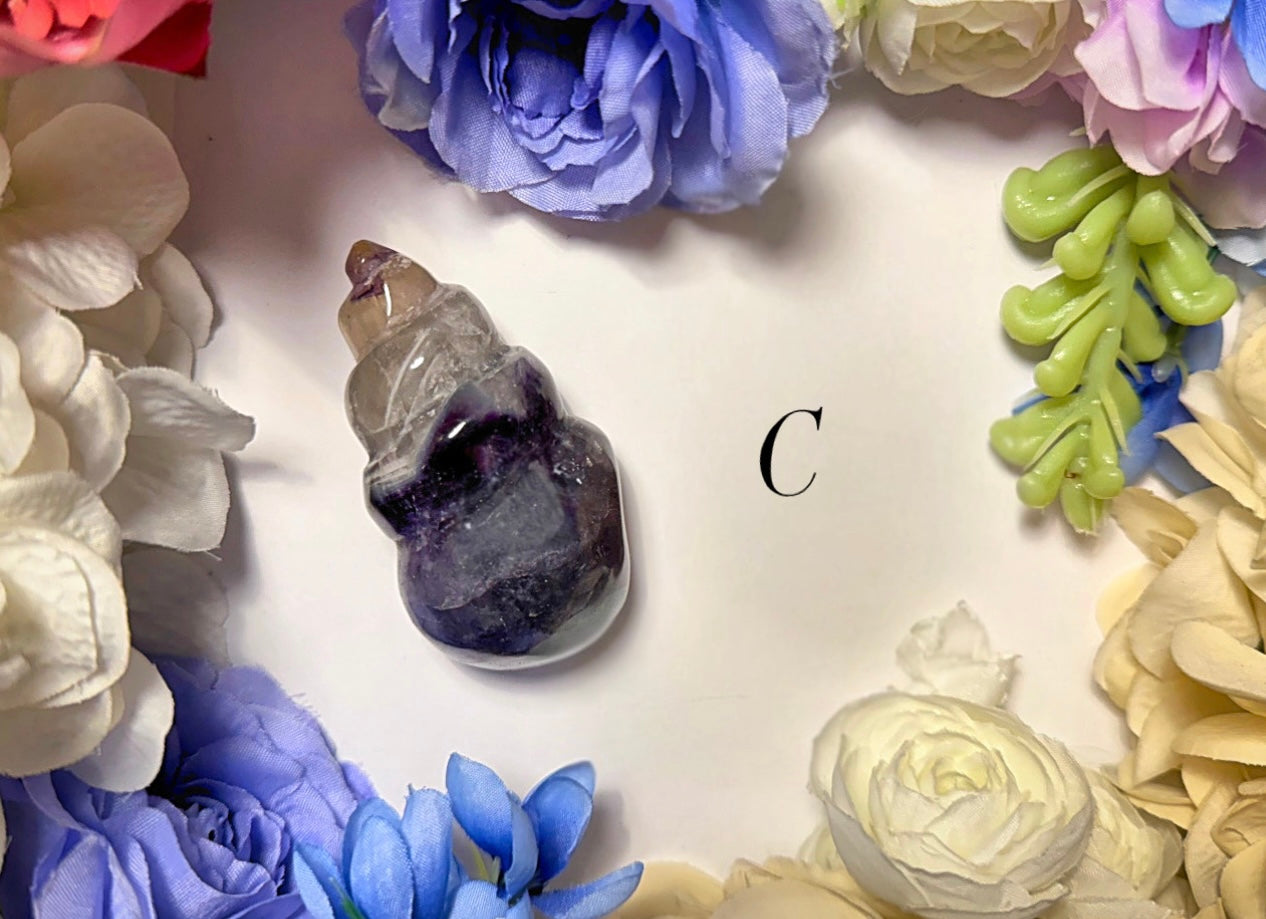 Fluorite Conch Crystal Shell