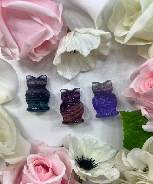 Candy Fluorite Owl