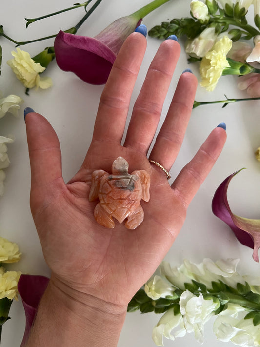 Carnelian Turtle