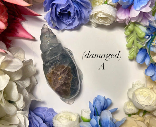 Fluorite Conch Crystal Shell