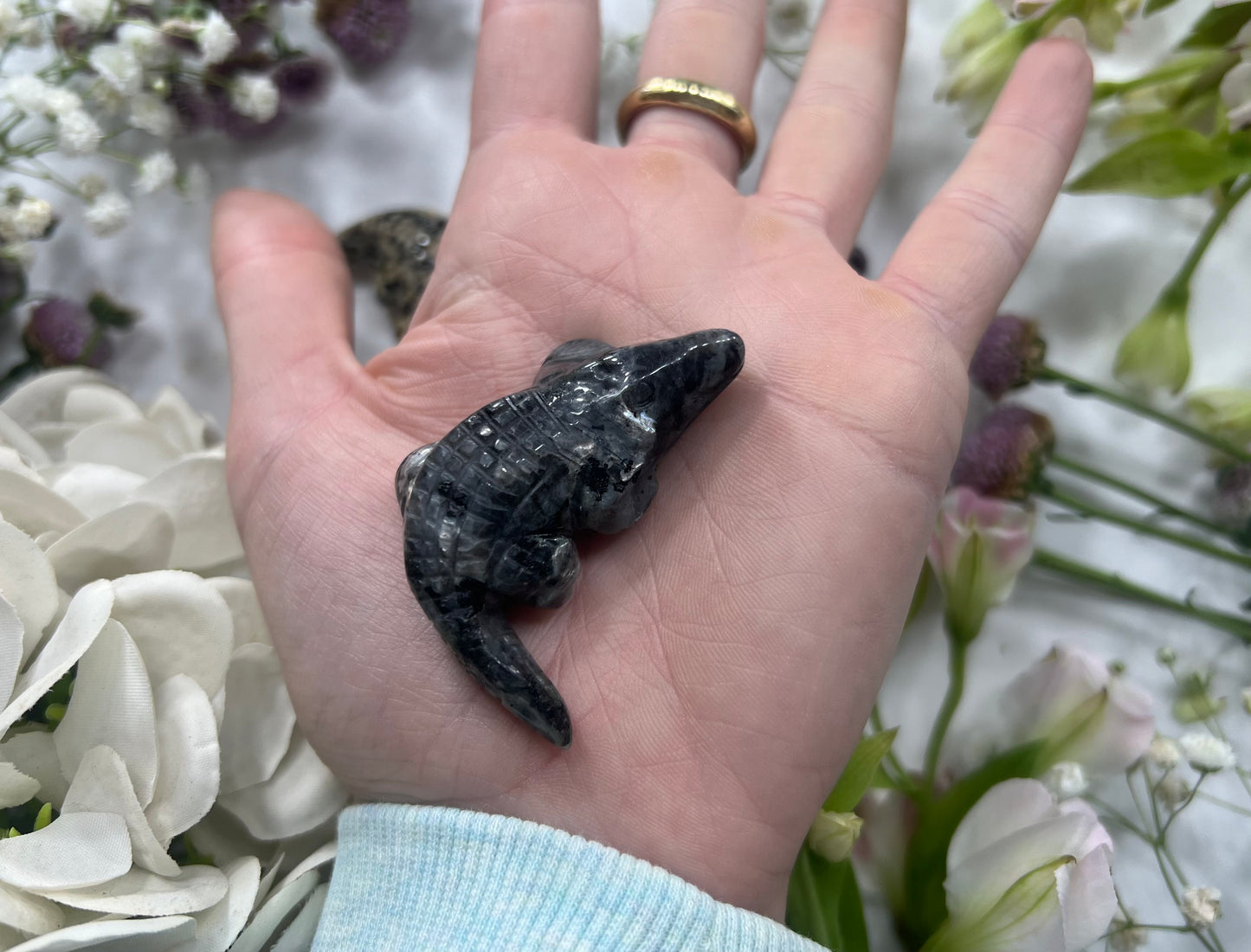 Crystal Alligator