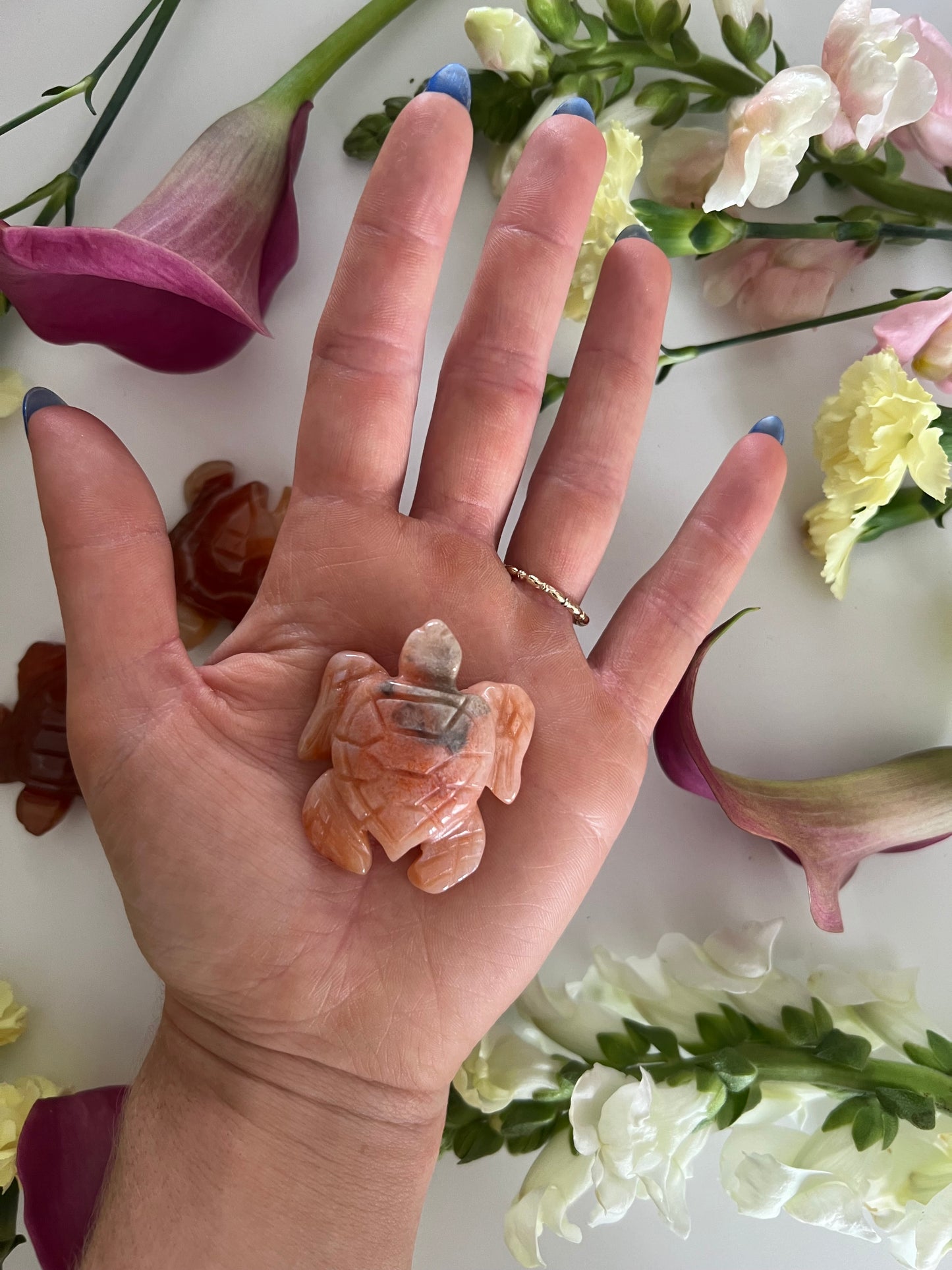 Carnelian Turtle