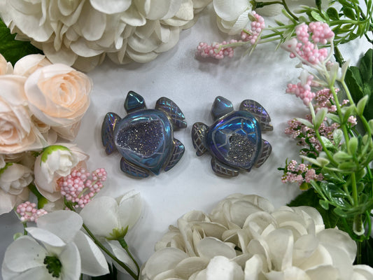 Aura Druzy Agate Turtle