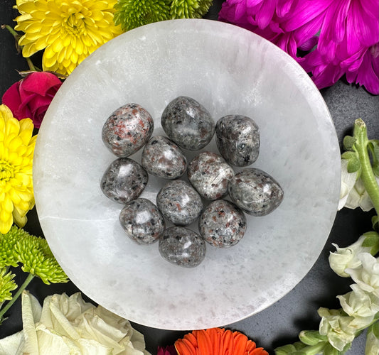 Yooperlite Tumbled Stone