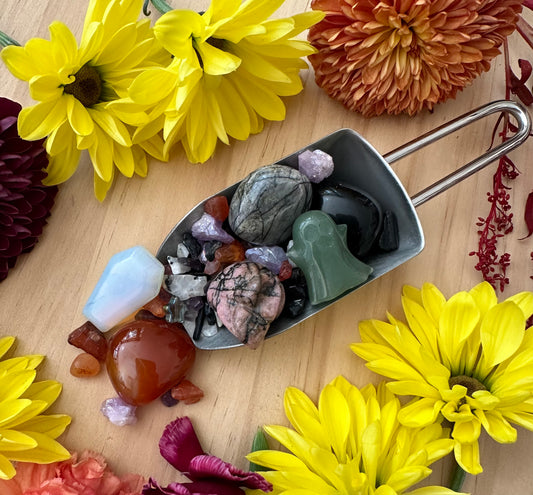 Halloween Candy Scoop