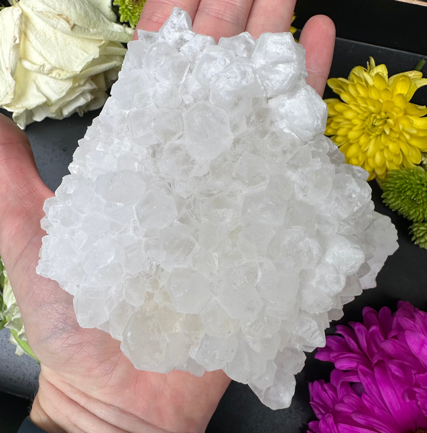 Clear Quartz Cluster