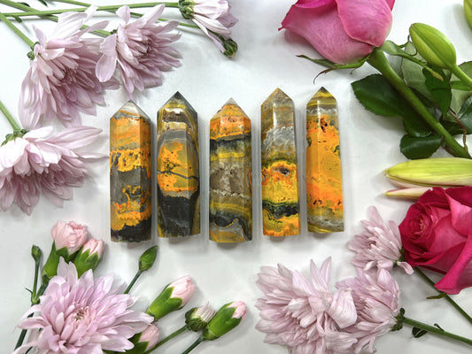 Bumblebee Jasper Point