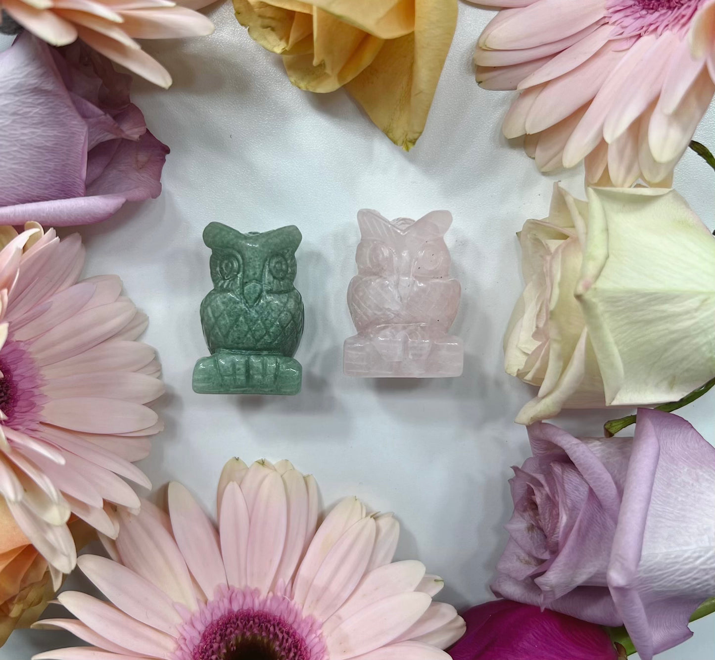 Owls