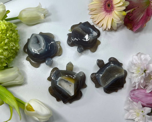 Druzy Agate Turtle