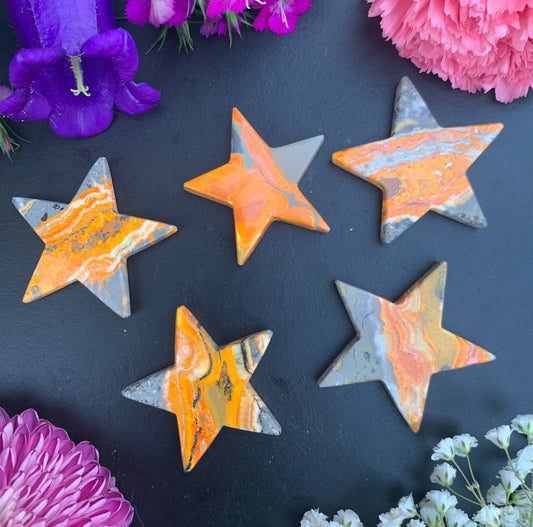 Bumblebee Jasper Stars