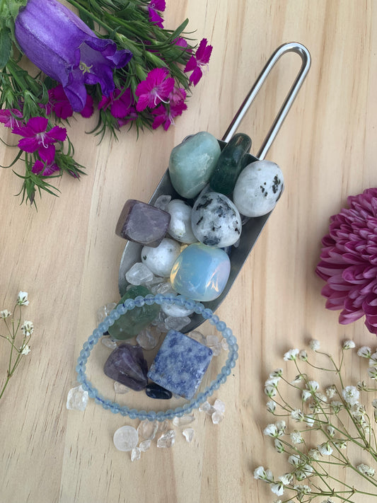 Zodiac Water Signs Candy Scoop