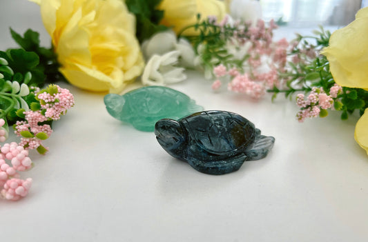 Large Crystal Turtle