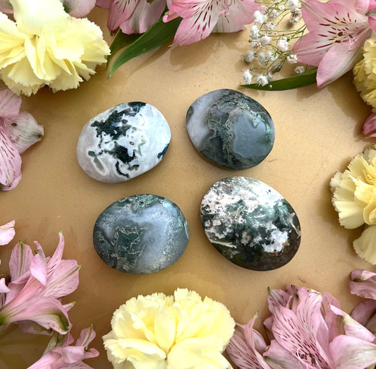 Moss Agate Palm Stone