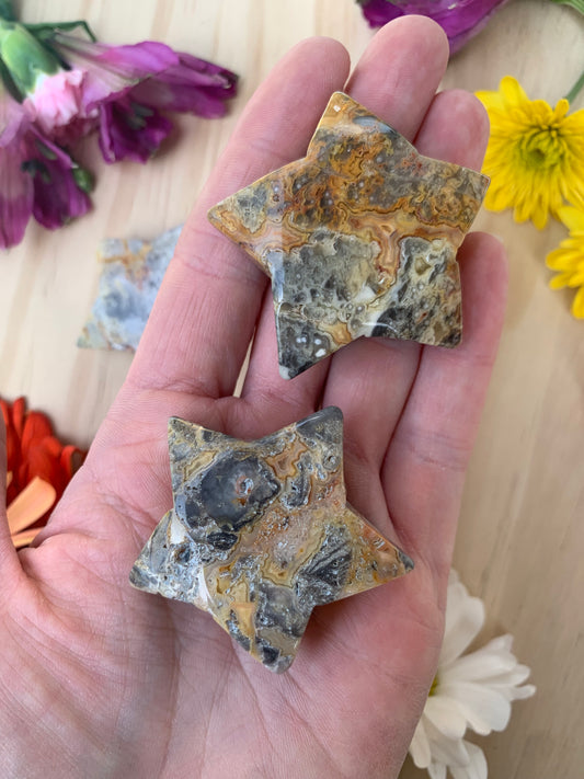Crazy Lace Agate Star