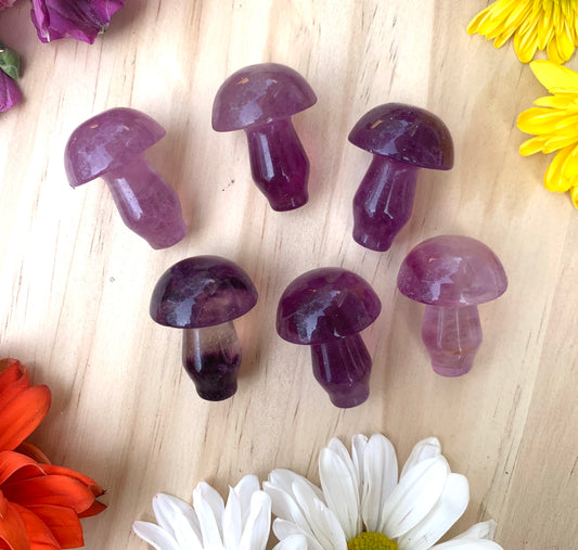 Purple Fluorite Mushroom