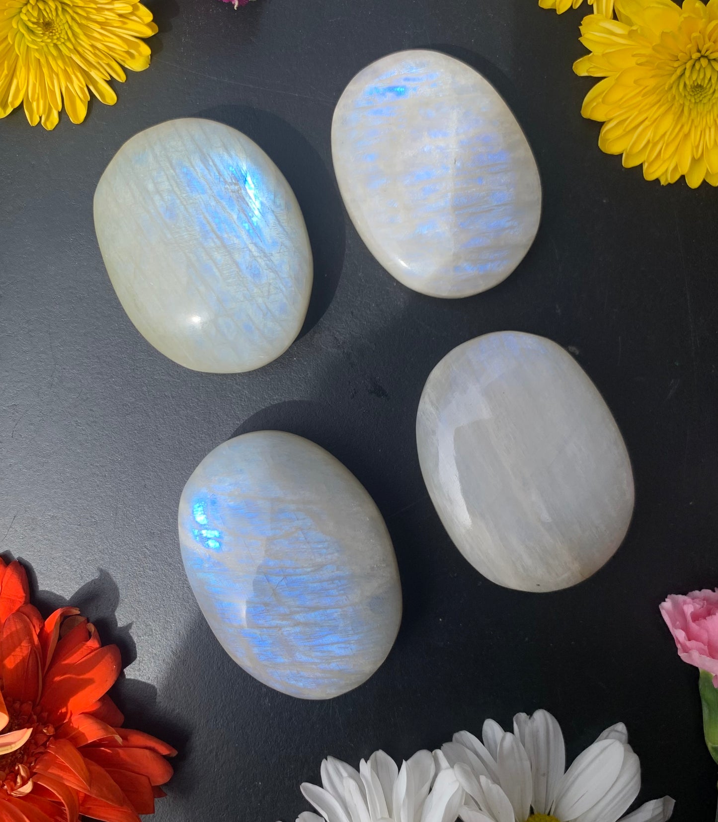 Moonstone (White Labradorite) Palm Stone